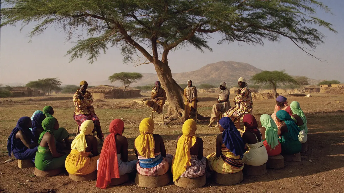 Une assemblée communautaire réunie à l’ombre d’un grand acacia